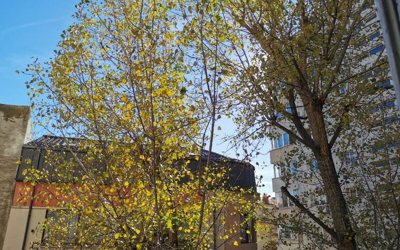 Vanzare apartament 3 camere Polona – zona centrala, linistita si cu acces excelent – fotografia principală