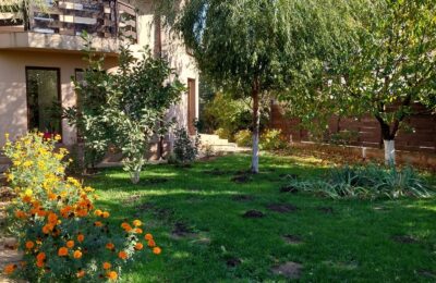 Casă de vânzare Domnești Teghes – proprietate individuală, zonă verde, aproape de București - 243.000 EUR - Domnesti, Ilfov - 3 camere - 150 m²