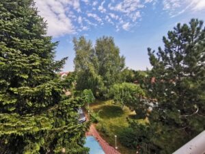 Vila cu piscina si gradina superba de 2600 mp in Domnesti stradal - 650.000 EUR - Domnesti, Ilfov - 6 camere - 460 m²