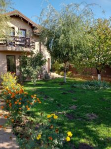 Casă de vânzare Domnești Teghes – proprietate individuală, zonă verde, aproape de București - 243.000 EUR - Domnesti, Ilfov - 3 camere - 150.00 m²