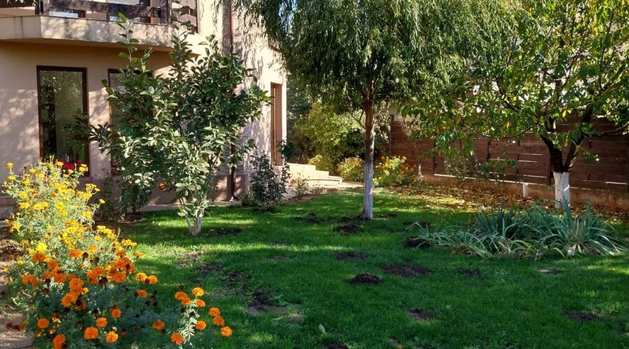 Casă de vânzare Domnești Teghes – proprietate individuală, zonă verde, aproape de București – fotografia principală