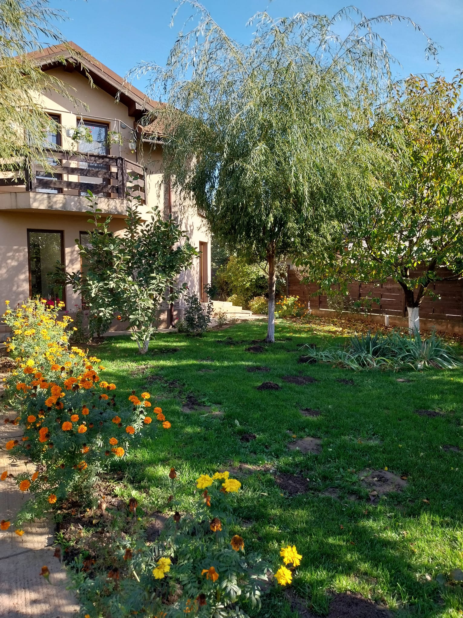 Casă de vânzare Domnești Teghes – proprietate individuală, zonă verde, aproape de București