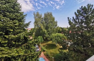 Vila cu piscina si gradina superba de 2600 mp in Domnesti stradal