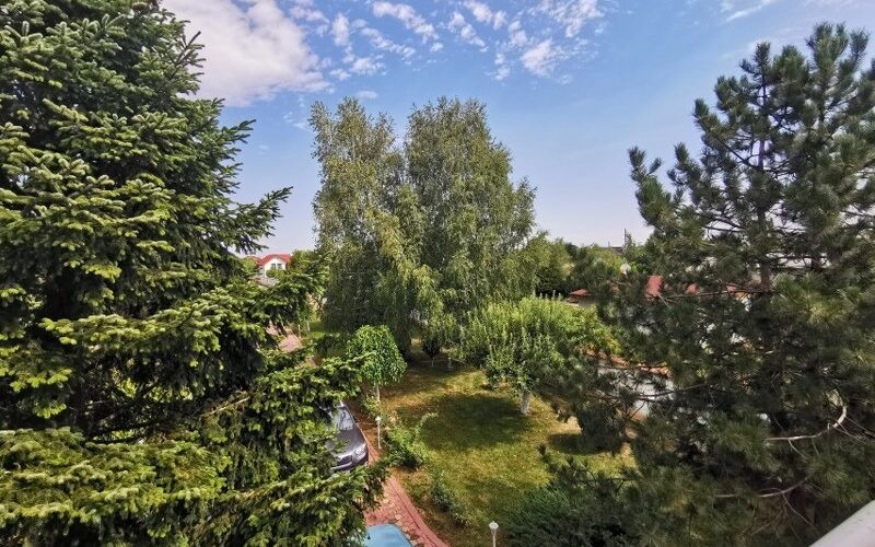 Vila cu piscina si gradina superba de 2600 mp in Domnesti stradal – fotografia principală