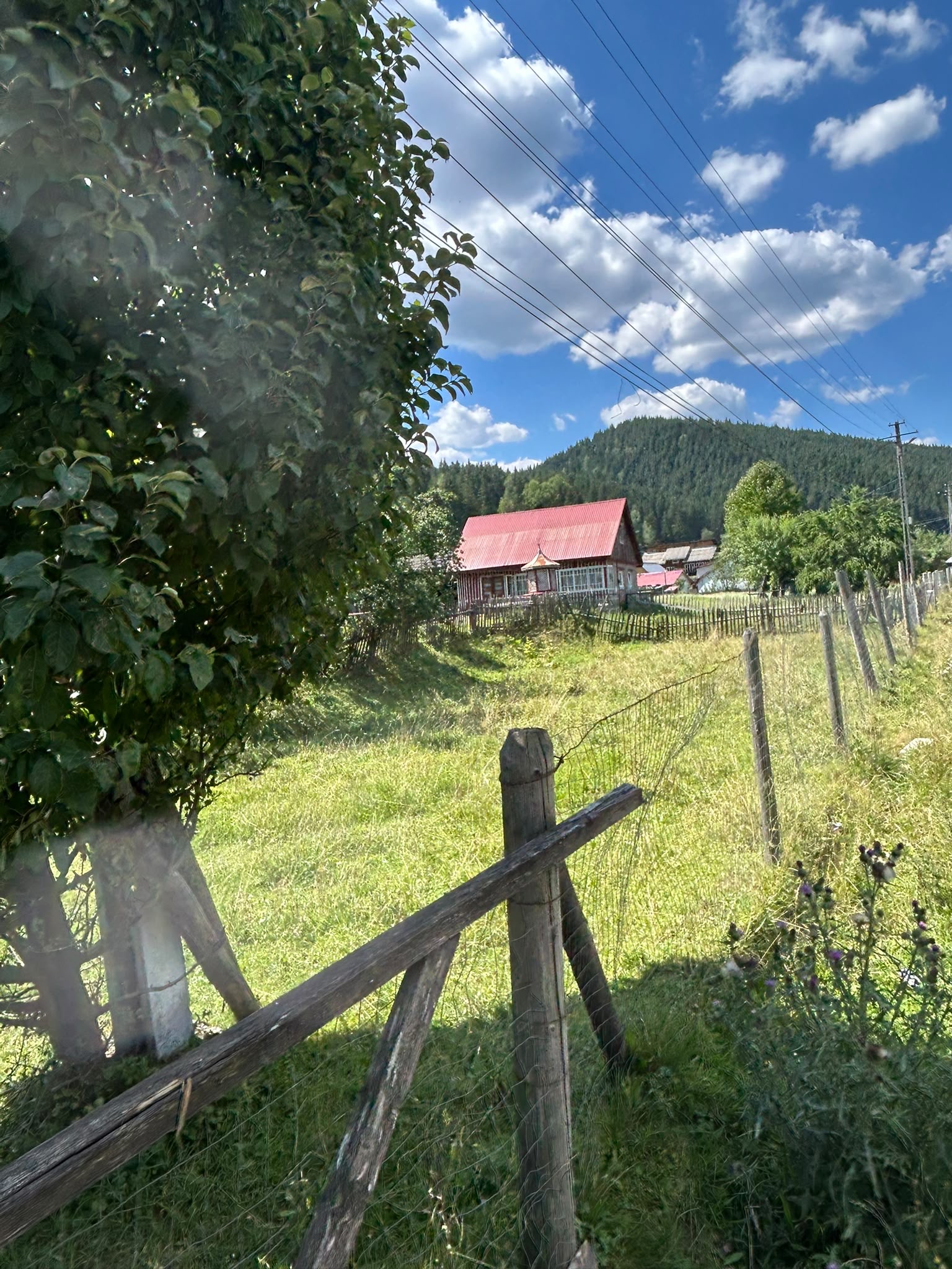 Vând teren + plan de casă – fotografia 11